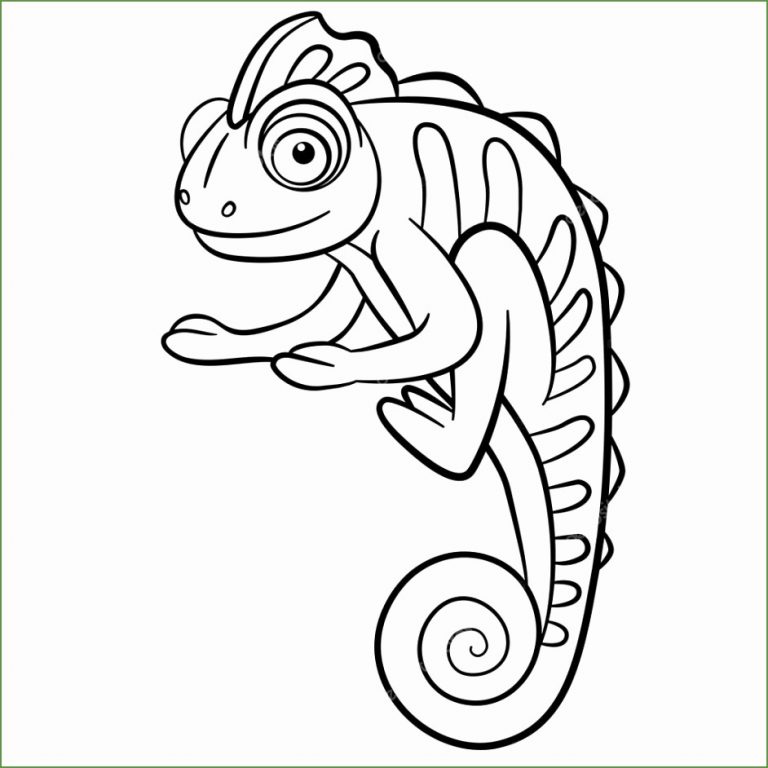 Populair Kleurplaat Kameleon